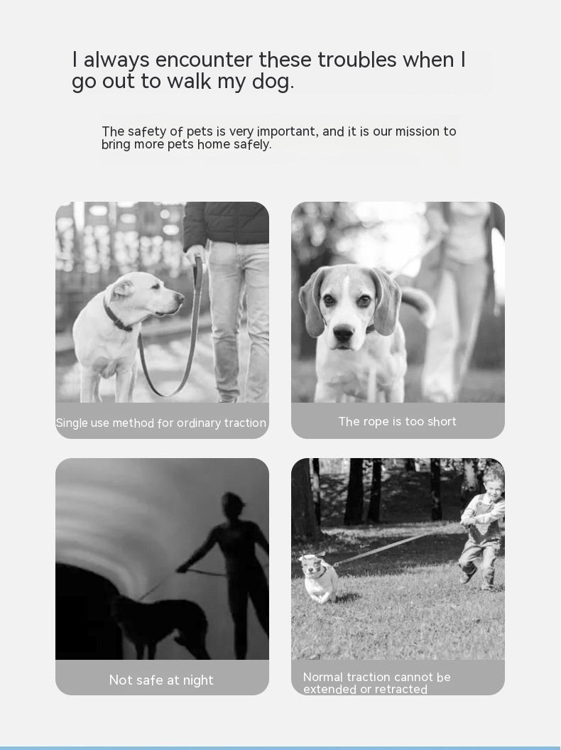 Luminous Retractable Dog Leash with LED Ring