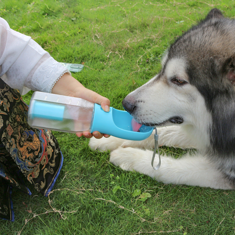 3-in-1: Hydration, Feeding & Waste Solution